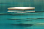 Floss auf dem Caumasee bei Flims
